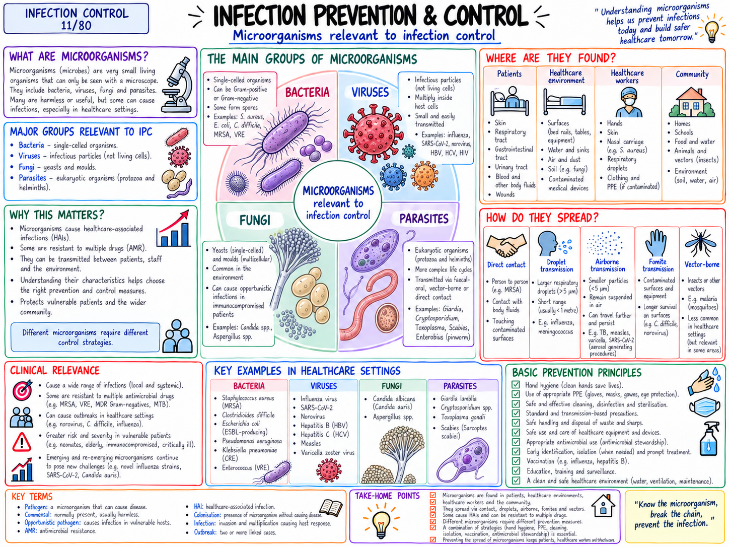 Microorganisms Relevant to Infection Control (11/80)