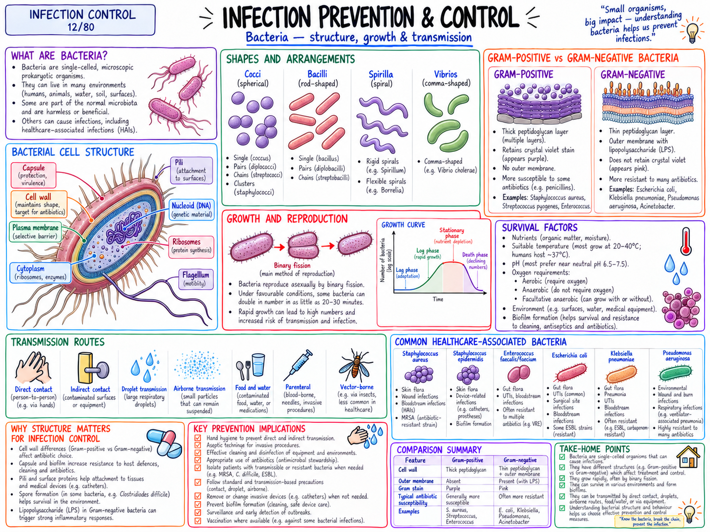 Bacteria โ Structure, Growth & Transmission (12/80)