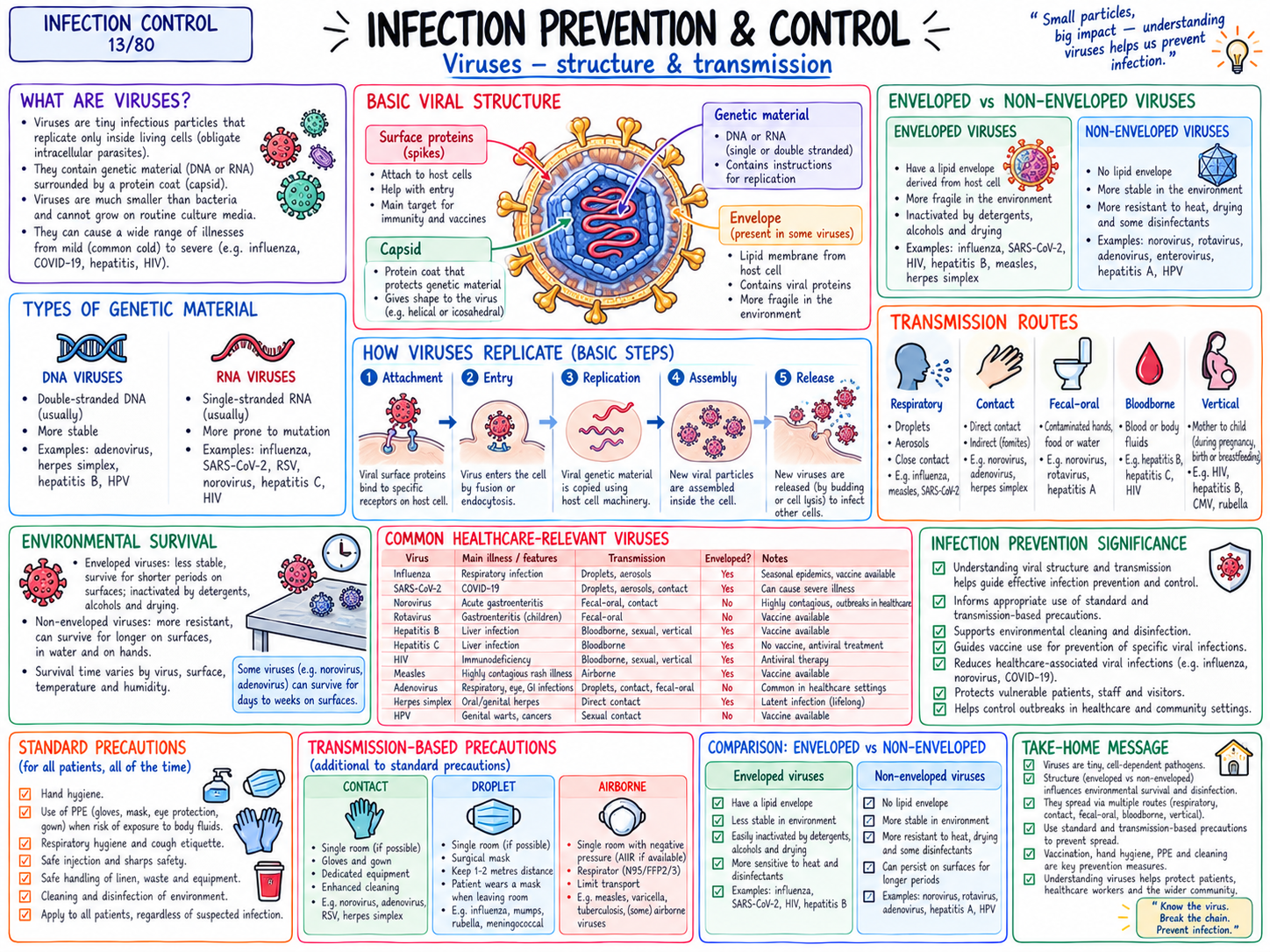 Viruses โ Structure & Transmission (13/80)