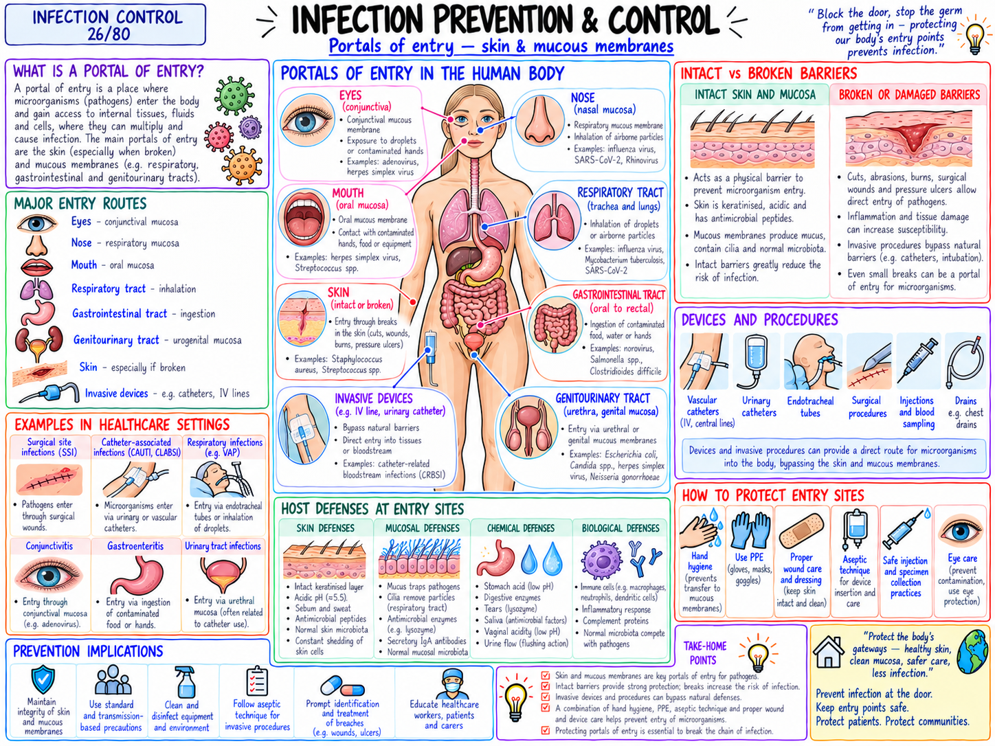 Portals of Entry โ Skin & Mucous Membranes (26/80)
