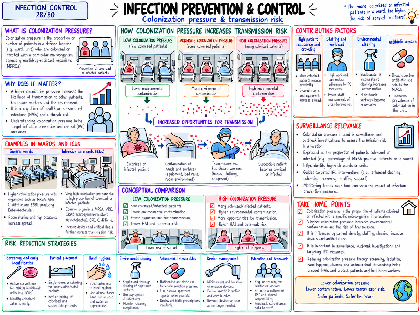Colonization Pressure & Transmission Risk (28/80)