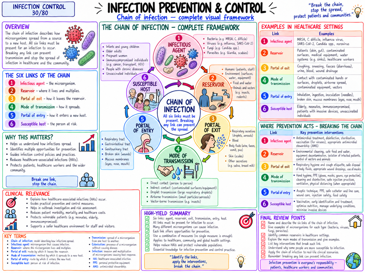 Chain of Infection โ Complete Visual Framework (30/80)